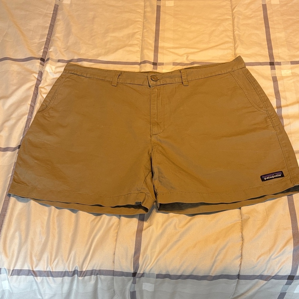 Patagonia Men's Khaki Flat Front Shorts